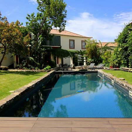شقة فونشال  في Quinta Araucaria Funchal المظهر الخارجي الصورة